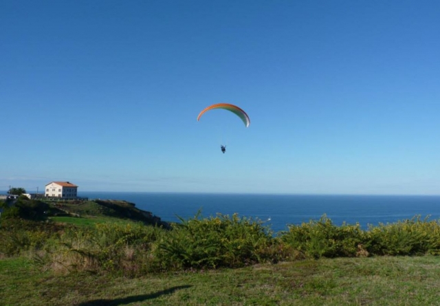  Fliegen an der Küste 
